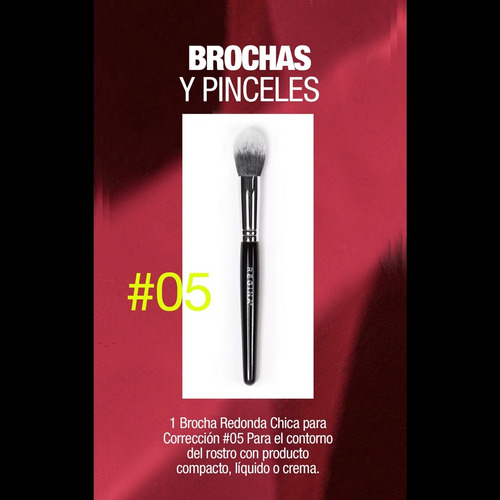 Imagen 3 de 4 de Brocha De Maquillaje Regina #crueltyfree