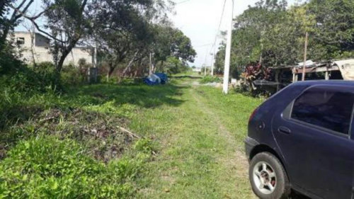 Imagem 2 de 11 de Terreno Com Boa Metragem No Palmeiras Em Itanhaém - 4768|npc