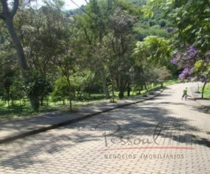 Imagem 2 de 6 de Terreno Córrego Grande - V-226