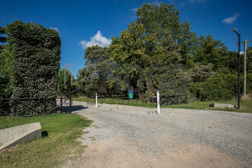Lote 1000 M2 El Tropezón