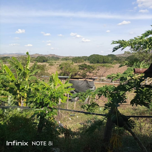 Imagen 11 de 14 de En Venta Finca Vía Altagracia De Orituco, Att Rc-ln