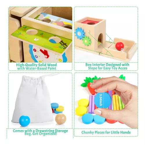  Juguetes Montessori para regalos de bebé de 1 año, caja de kit  de juego incluye juegos de cosecha de zanahorias, caja de monedas para  bebés, juguetes de habilidades motoras finas y