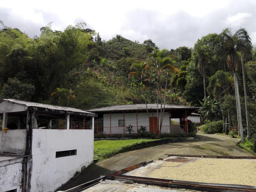 Se Vende Finca La Virginia Calarcá