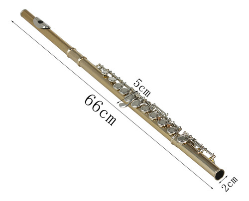 Flauta Transversal De 16 Llaves En Do Ideal Para Músicos Plateado