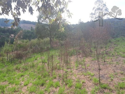 Imagem 2 de 4 de Cod 4005 - Terreno De 1.200 M² Todo Cercado. - 4005
