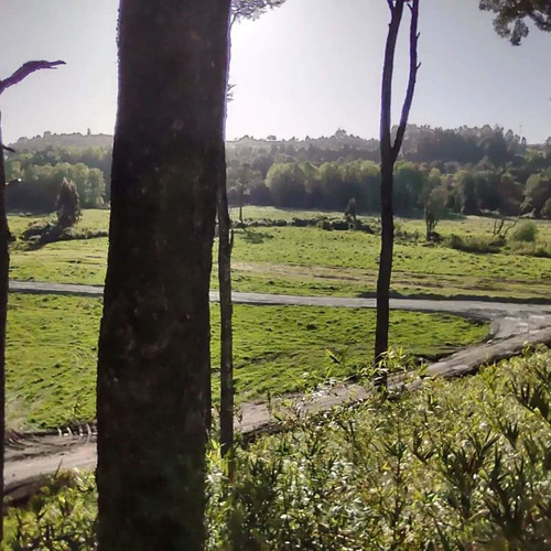 Parcelas A 2 Minutos Del Lago Rupanco, Acceso A Rio