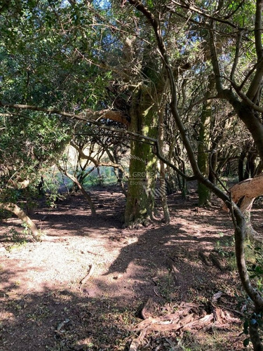 Imagen 9 de 10 de Chacra En Venta Con Casa,ruta 12 - Maldonado Ruta 9