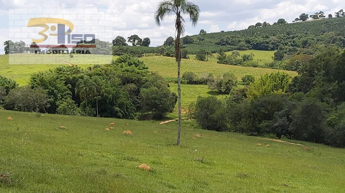 Imagem 10 de 15 de Sítio Em Centro - Ouro Fino - 1460