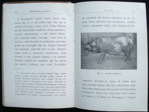Imagen 5 de 5 de Suinicoltura Practica, I. Stanga, Año 1922. 47n 801