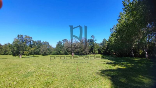 Imagen 18 de 25 de Venta De Parcela En Villarrica
