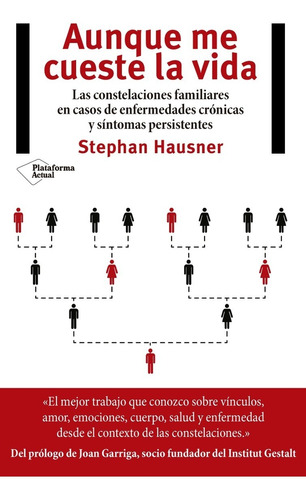 Aunque Me Cueste La Vida - Stephan Hausner