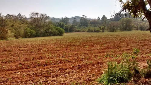 Imagem 14 de 14 de /e6/ Lotes De 1.000m² R$115.000 Em Mairinque