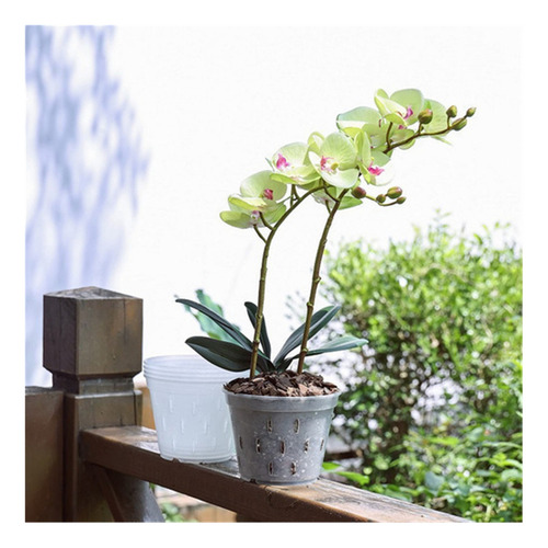 Kit De 5 Vasos Rígidos Transparentes - Orquídeas