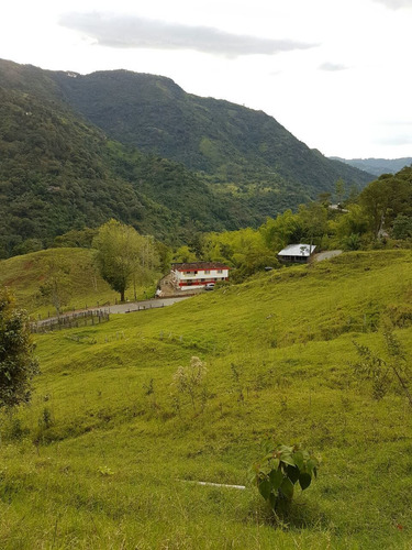 Imagen 7 de 8 de Finca Venta Genova Quindio