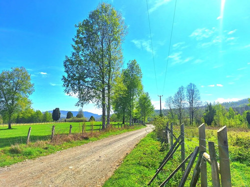 Panguipulli Venta De Lotes Sector Los Tayos