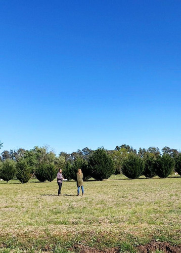 Terreno Lote En Venta Ubicado En El Cardal, Campana, G.b.a. Zona Norte