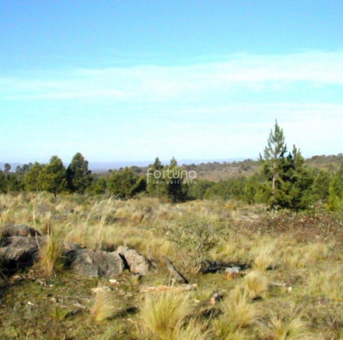 Imagen 3 de 8 de Venta De 107 Hectáreas En Yacanto De Calamuchita Inv0021