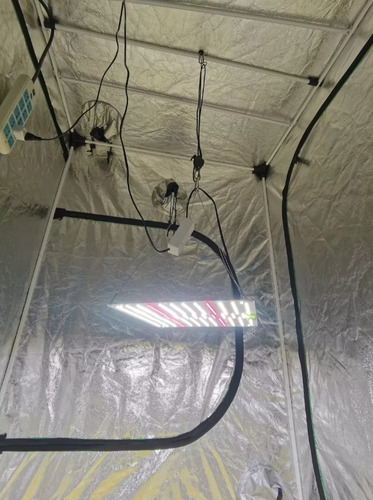 Led Grow Quantum Board 65w/650w Samsung Lm283b + Dpred 660nm Amarelo