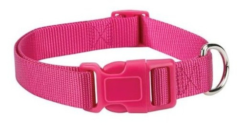 Zack Y Zoey 10 A 16 Pulgadas De Perro De Nylon Collar Del Cu