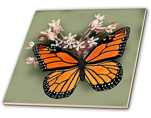 777imagenes Arte Digital  Mariposas  Monarca Mariposa Y Rosa