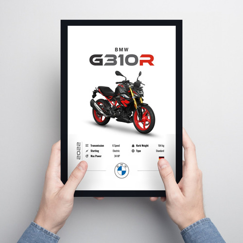 Cuadro 20x30 Moto Bmw G310r 2022