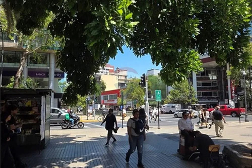 Ganar Como Supermercado? Oportunidad Única Provi