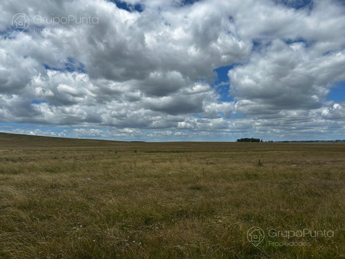 Campo En Venta - Rocha