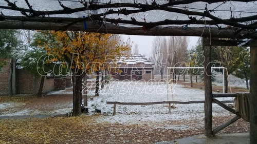 Alquiler Temporario Turismo San Rafael Mendoza, Cabañas Hoba