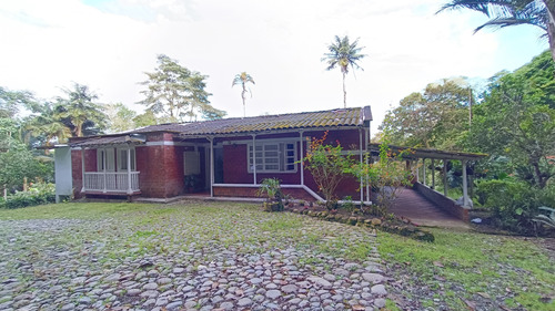 Se Vende Lote De 12.000 M2 Con Dos Casas Campestres , Circasia Quindio