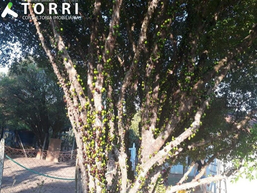 Imagem 12 de 18 de Chácara À Venda No Centro De Porto Feliz - Ch00364 - 69394341