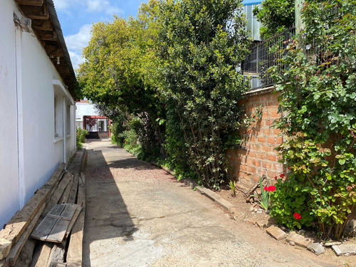 Cauquenes, Local Comercial, 976 M2 Terreno (86224)