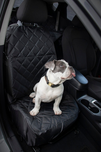 Protector Asiento Copiloto Para Mascota