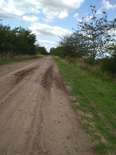 Imagen 10 de 12 de Venta - Chacra Campo Chico - Quinta