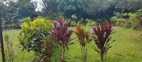 Terreno De Venta En Puerto Quito