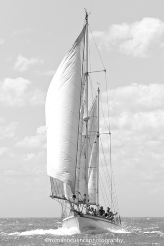 Velero Clásico Campos-parodi Ketche Doble Proa