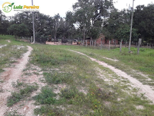 Imagem 12 de 15 de Fazenda Á Venda Em Recursolândia - Ms - 1.132 Hectares (pecuária) - 2188