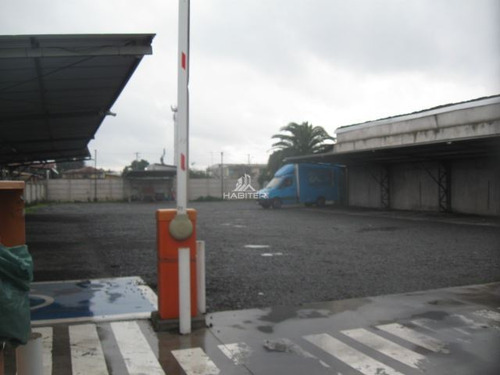 Sitio En Venta En Curicó