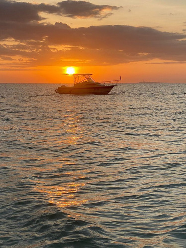 Casa A 100 M De La Playa En Renta En Chicxulub Puerto