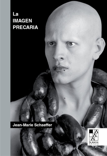 La Imagen Precaria - Jean-marie Schaeffer - Es