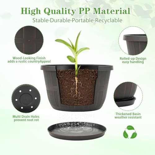 Maceta De Plástico Quarut De 10 Pulgadas Para Plantas De Int