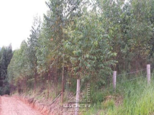 Imagem 5 de 6 de Terreno Estiva Do Agudo Bragança Paulista Sp - Js8556-1
