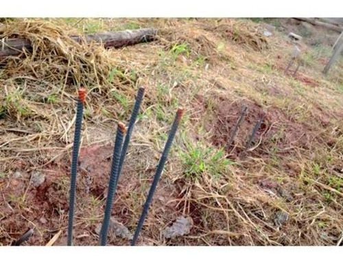 Imagem 7 de 7 de Terreno À Venda Em Parque Da Fazenda - Te195915