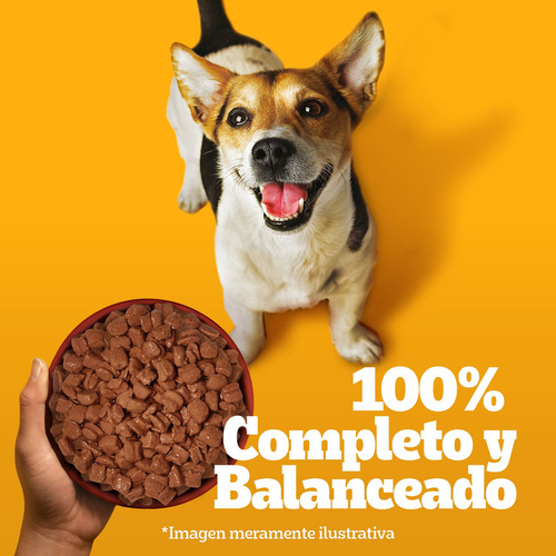 Pedigree Alimento Húmedo En Sobre Perro Raza Peq Carne 12un
