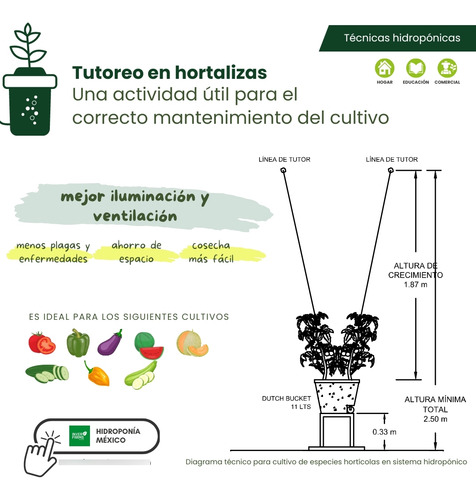 Anillo Para Tutoreo Invernadero Tomate No Rompe 1,000 Pz