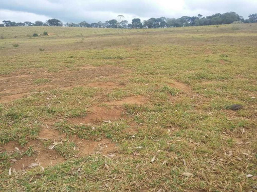 Imagem 13 de 29 de Fazenda De Gado Com 263 Hectares Itajuba - 36525