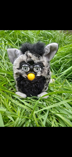 Furby Husky