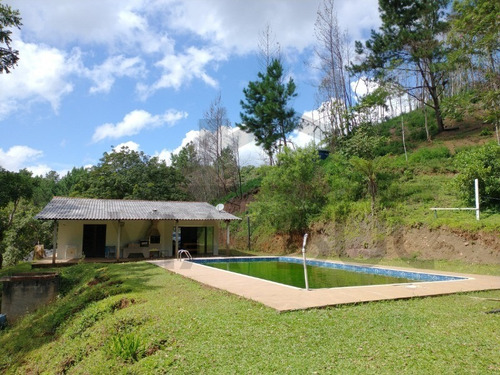 Imagem 4 de 30 de Sítio De 3,5 Alqueires, Excelente Localização! Com Área Aberta Para Criação Recreativa E Mata Nativa Para Trilha E Caminhada.. - 237 - 69821549