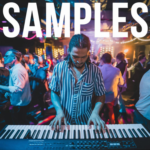 Samples Para Teclado Yamaha Psr E463 Negro (Usado)
