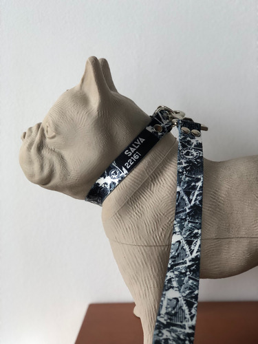 Collar Para Mascotas Perro Gato Con Nombre- Todos Los Talles Varios Crash B/w M - 35 A 52 Cm
