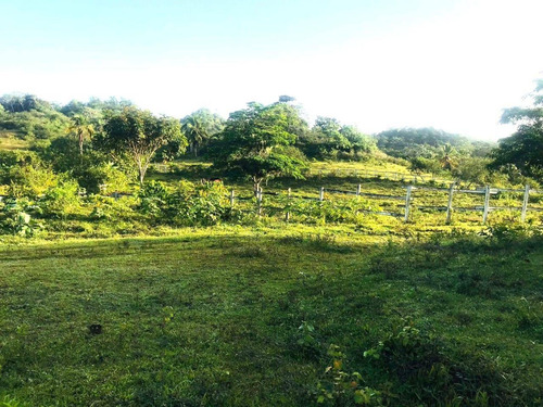 Terreno En Venta Las Terrenas